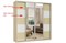 Шкаф-купе Кристалл-4 - фото 137041